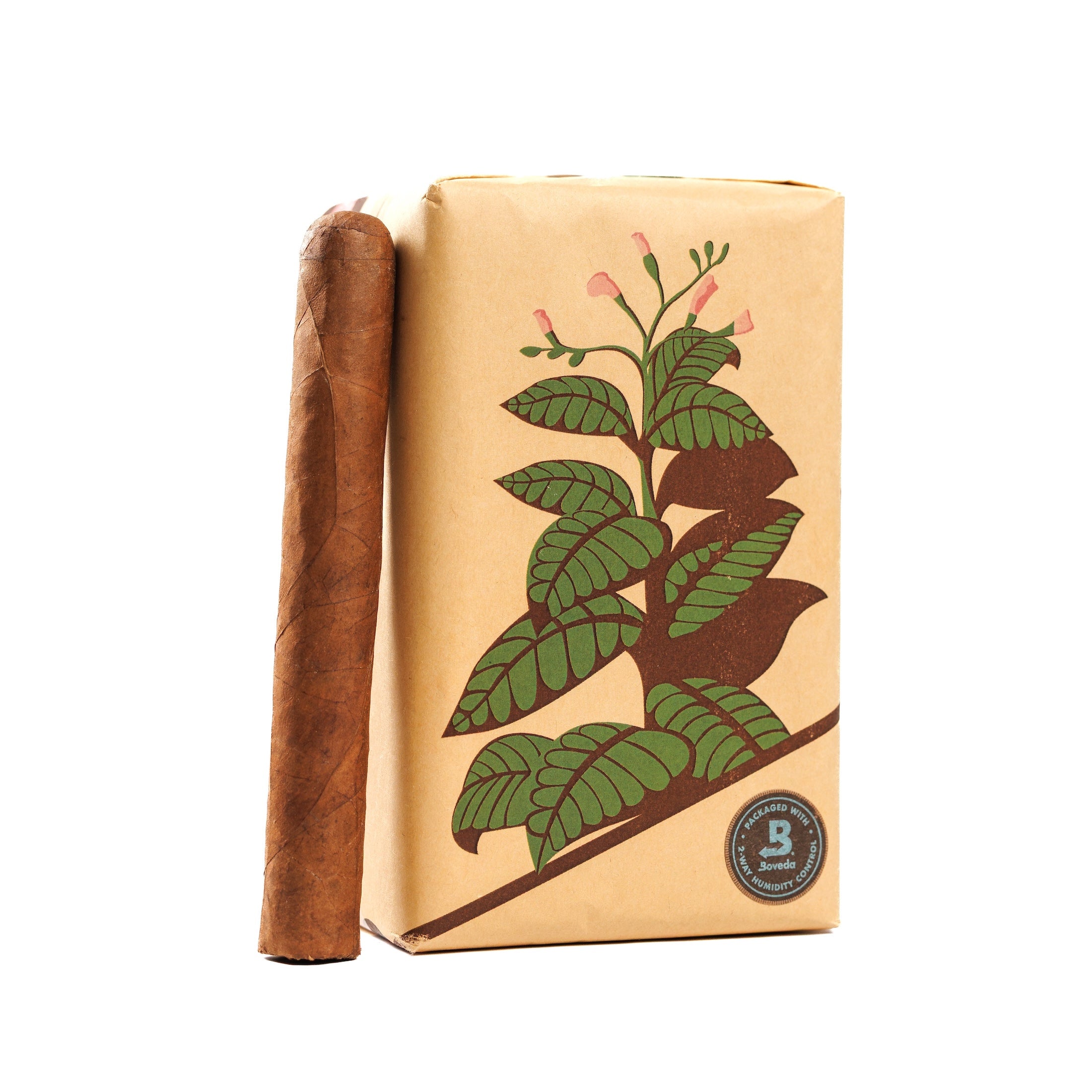 Joanna Basil's Summer Bundle - 25ct